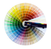 Colors palet.jpg